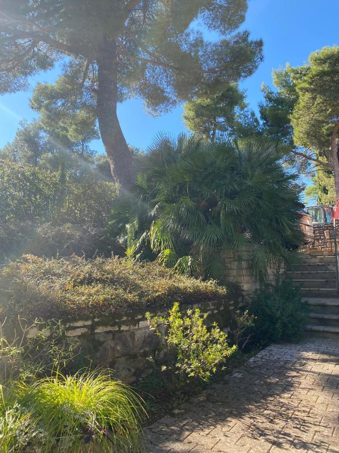 Apartman Number 9 Rovinj Zewnętrze zdjęcie